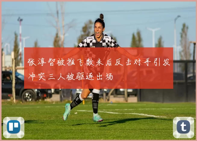 张淳智被推飞数米后反击对手引发冲突三人被驱逐出场