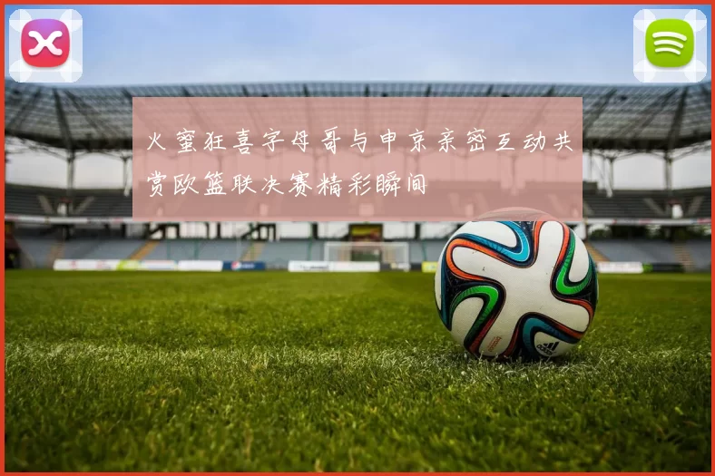 火蜜狂喜字母哥与申京亲密互动共赏欧篮联决赛精彩瞬间