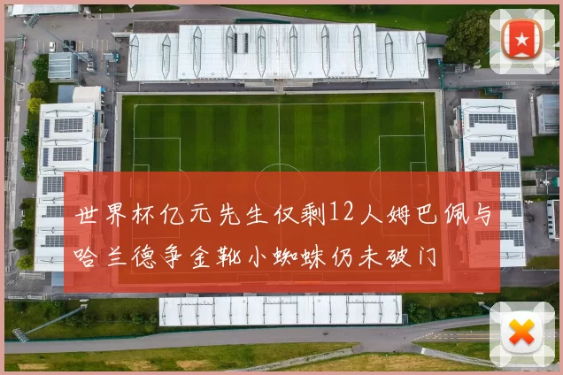 世界杯亿元先生仅剩12人姆巴佩与哈兰德争金靴小蜘蛛仍未破门